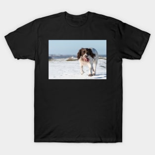 English Springer Spaniel T-Shirt